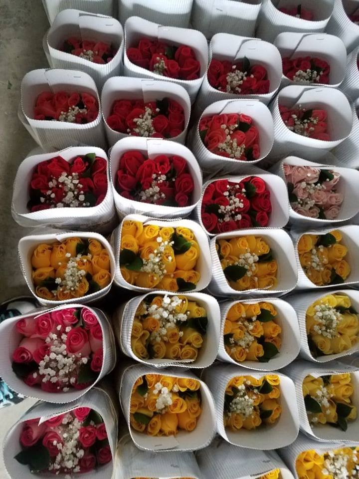 Danielles Flower Shop | 360 Mountain Rd, Moncton, NB E1C 2M6, Canada | Phone: (506) 382-7673