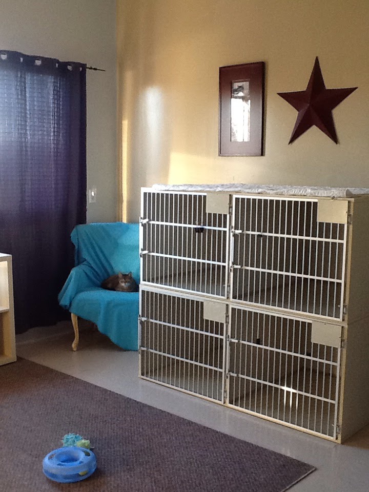 Loyalist Veterinary Hospital | 360 Bell Blvd, Belleville, ON K8P 5H8, Canada | Phone: (613) 966-2519