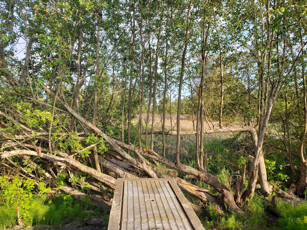 Mcneeleys Trail | 5011 River Rd, Delta, BC V4K 4V9, Canada