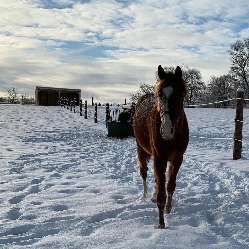 Windrush Farm | 701 Kenstone Beach Rd, Bobcaygeon, ON K0M 1A0, Canada | Phone: (289) 771-2553