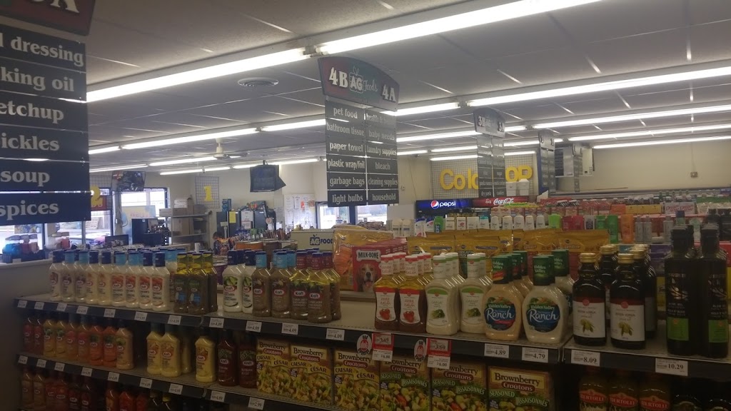 Bassano Family Foods | 333 2 Ave, Bassano, AB T0J 0B0, Canada | Phone: (403) 641-3553