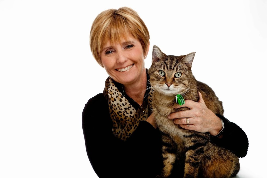Village Cat Clinic | 356 Wilson St E, Ancaster, ON L9G 2C2, Canada | Phone: (905) 304-7877