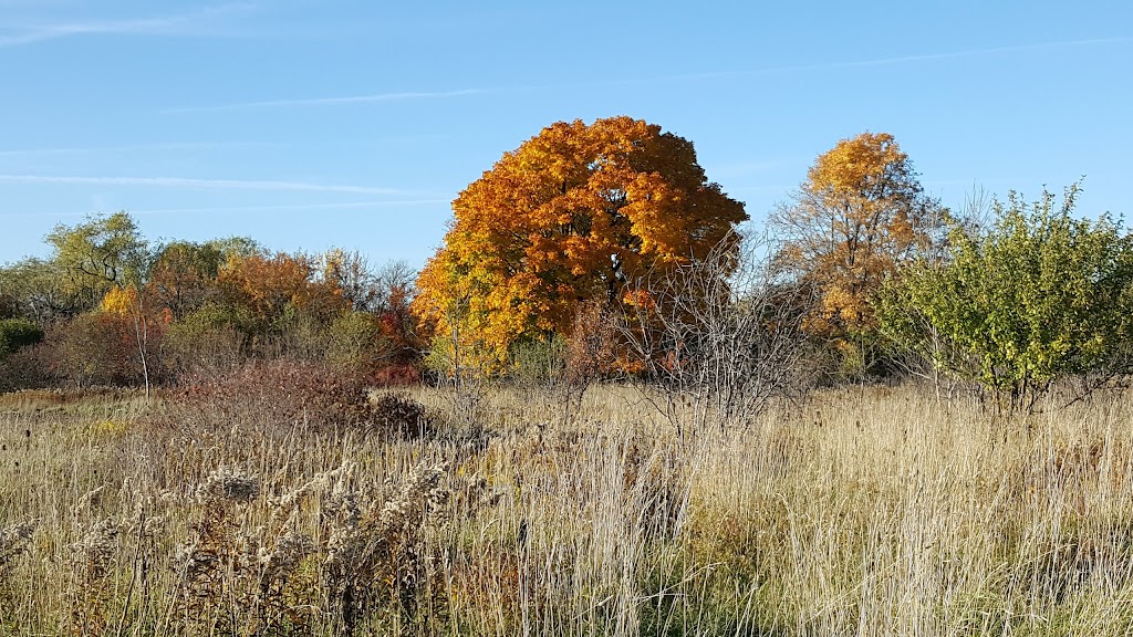 Rock Chapel Mushroom Farm | 277 Rock Chapel Rd, Dundas, ON L9H 5E2, Canada | Phone: (905) 628-6058