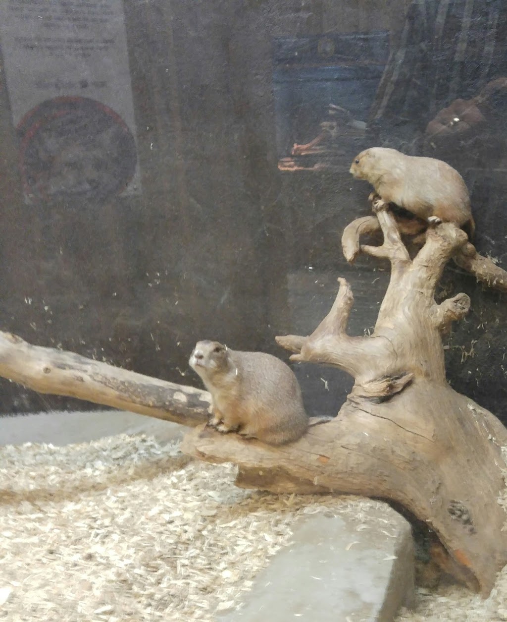 Little Rays Reptile Zoo and Nature Centre | 5305 Bank St, Gloucester, ON K1X 1H2, Canada | Phone: (613) 822-8924
