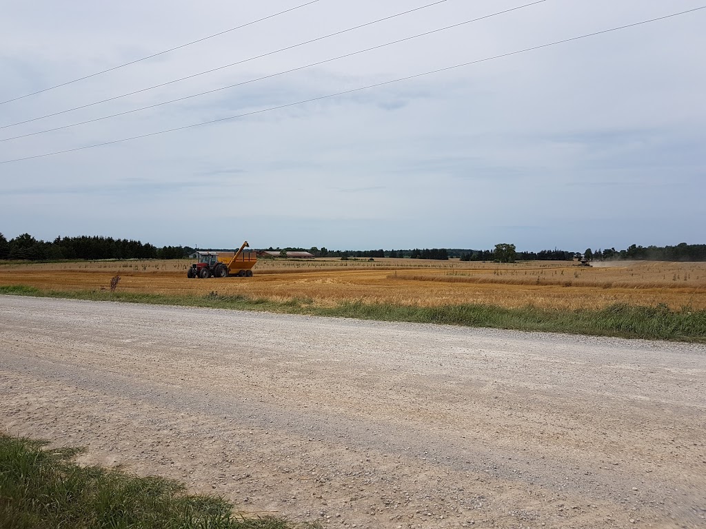 Stanton Bros Limited | 13514 Twelve Mile Rd, Ilderton, ON N0M 2A0, Canada | Phone: (519) 666-0800