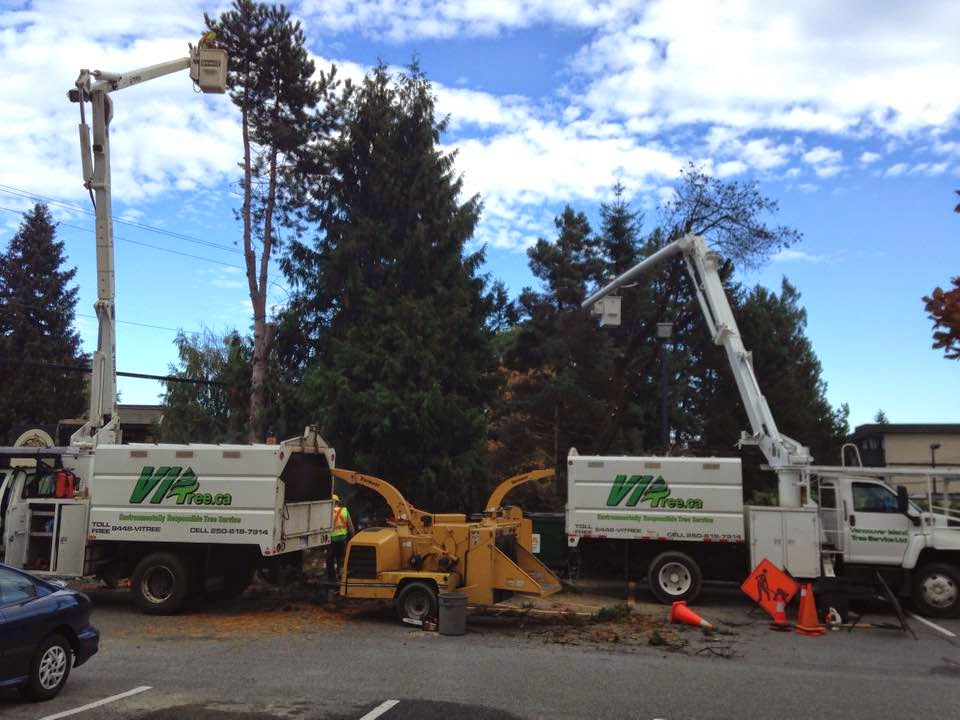 VI Tree Service | 7012 Aulds Rd, Lantzville, BC V0R 2H0, Canada | Phone: (250) 618-7914