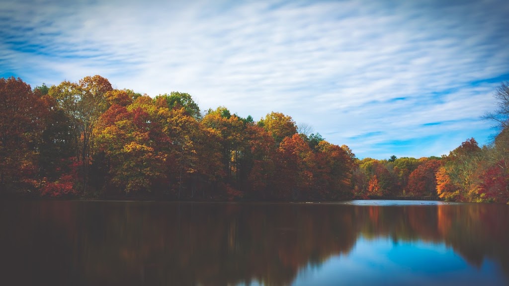 Charron Counselling & Psychotherapy | 2609 Fenton Rd #201, Gloucester, ON K1T 3T8, Canada | Phone: (613) 884-9285