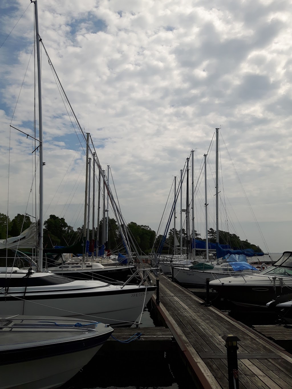 Loyalist Cove Marina | 100 Bayshore Drive, (20 minutes west of Kingston), Bath, ON K0H 1G0, Canada | Phone: (613) 352-3478