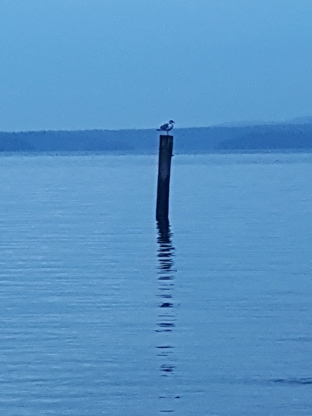 Seaview Marine Resort | 11111 Chemainus Rd, Ladysmith, BC V9G 1Z1, Canada | Phone: (250) 245-3768