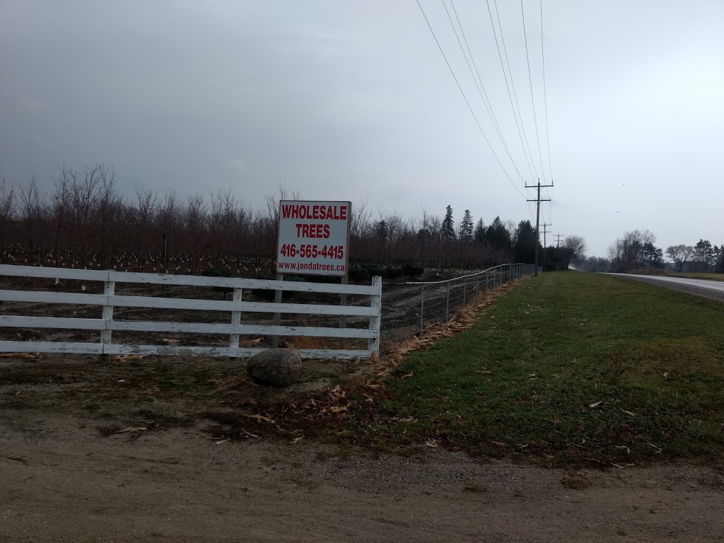 Janda Trees | 1819, County Rd 42, Stayner, ON L0M 1S0, Canada | Phone: (416) 565-4415
