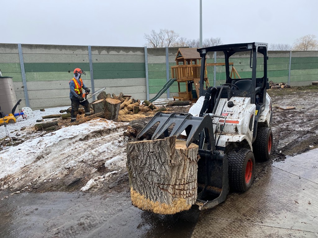 GreenCare Tree Services | 808 Courtland Ave E, Kitchener, ON N2C 1K3, Canada | Phone: (519) 329-0938