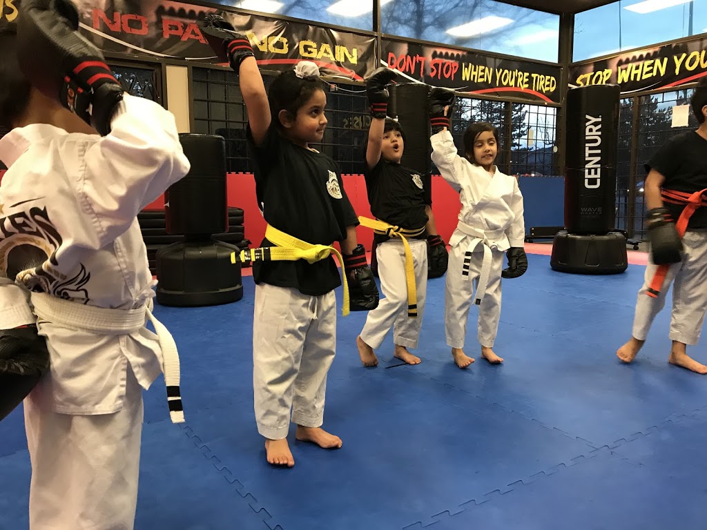 Aries Martial Arts Cloverdale | 17828 65a Ave unit 112, Surrey, BC V3S 1Z3, Canada | Phone: (604) 593-3737