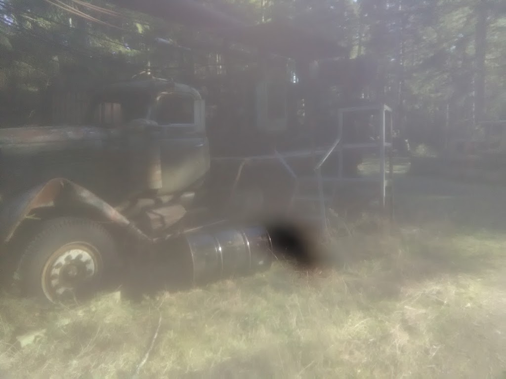 Lummi Island Campground | Lummi Island, WA 98262, USA