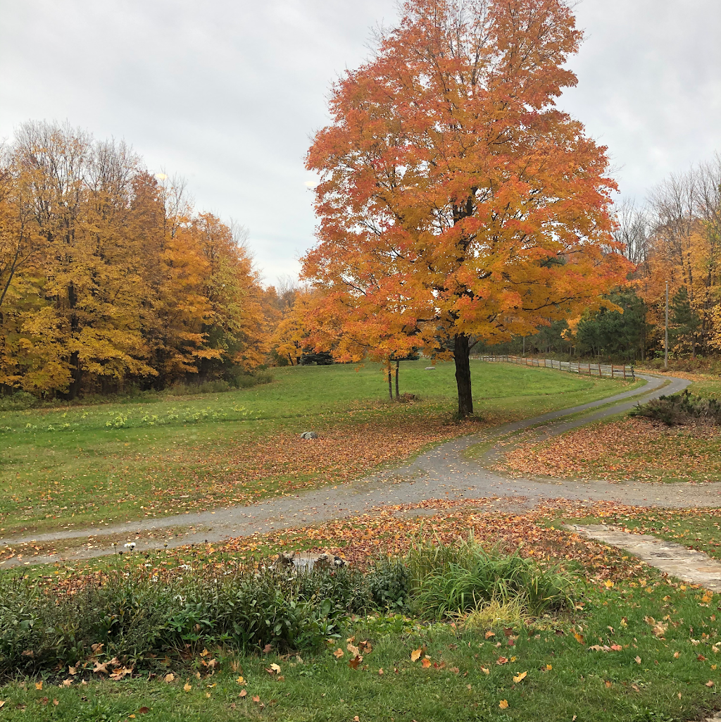 Peter Thompson Real Estate Broker | 407 Main Road, Hudson, QC J0P 1H0, Canada | Phone: (438) 500-8344