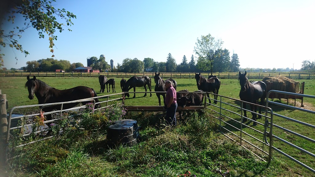 Kraak Farms | 344071 Ebenezer Rd, Mount Elgin, ON N0J 1N0, Canada | Phone: (519) 485-3568