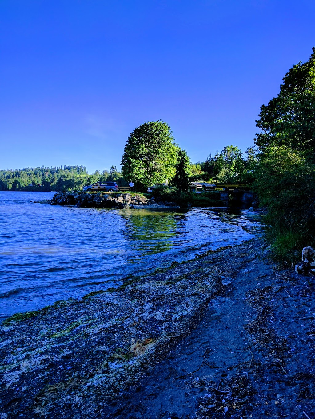 Cherry Point Beach | 800 Garnett Rd, Cobble Hill, BC V0R 1L3, Canada