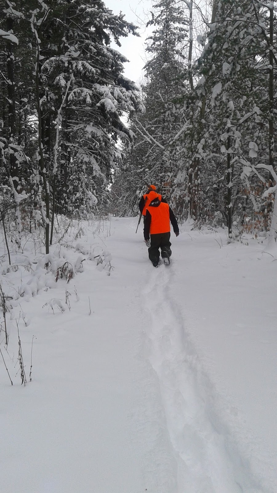 simcoe county forests Patterson tract | Orangeville Caledon Townline, Orangeville, ON L0N, Canada