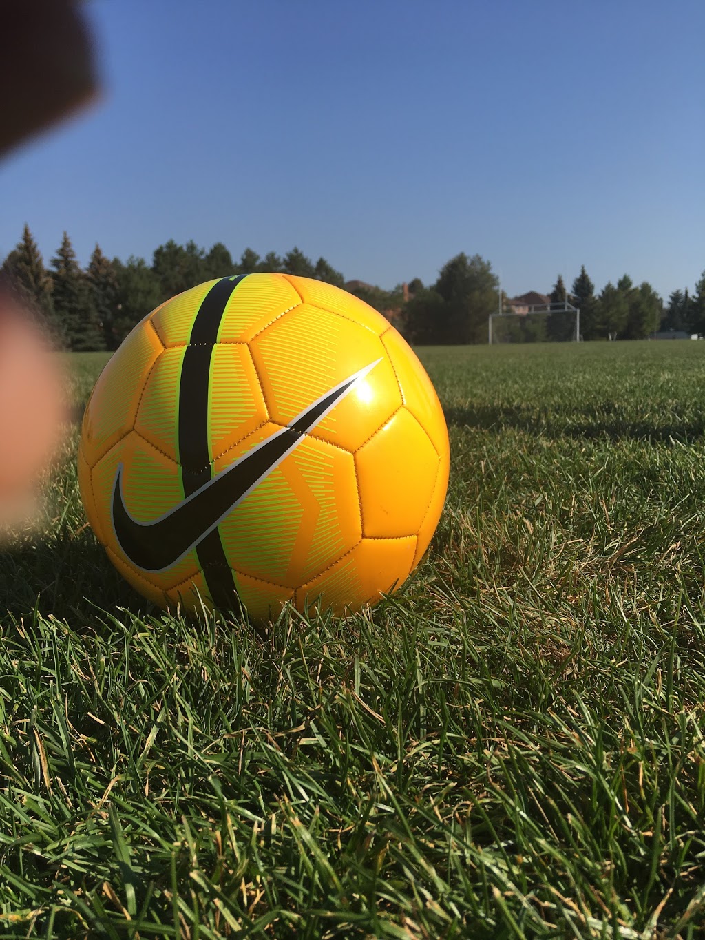 Markville Secondary School | 1000 Carlton Rd, Unionville, ON L3P 7P5, Canada | Phone: (905) 940-8840