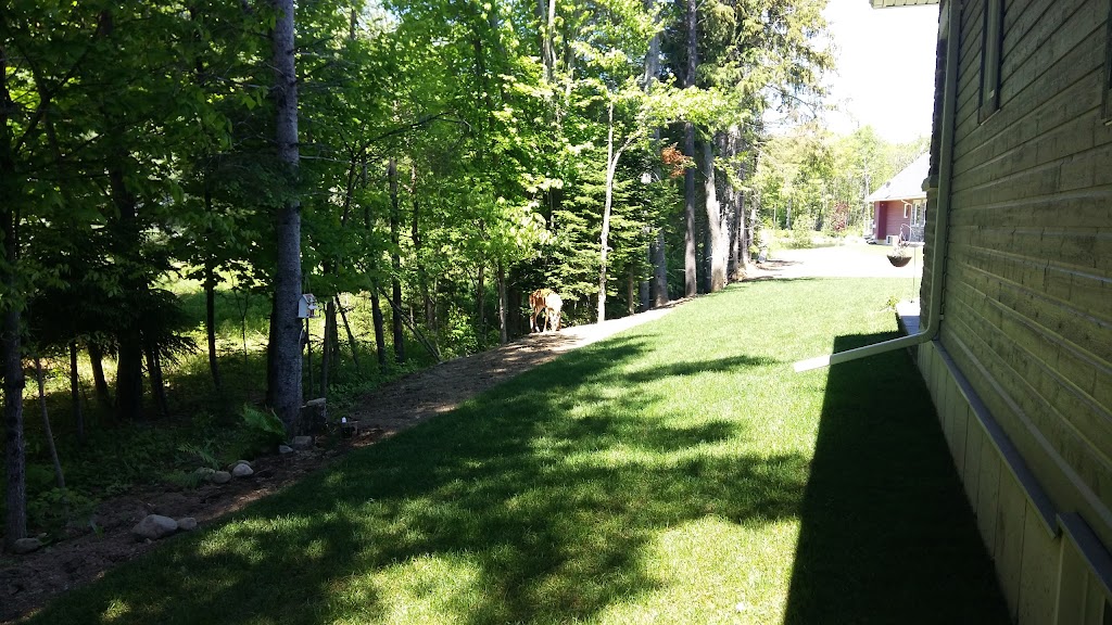 Silver Beach | 1827 Wigamog Rd, Minden, ON K0M 1S0, Canada | Phone: (705) 457-1429