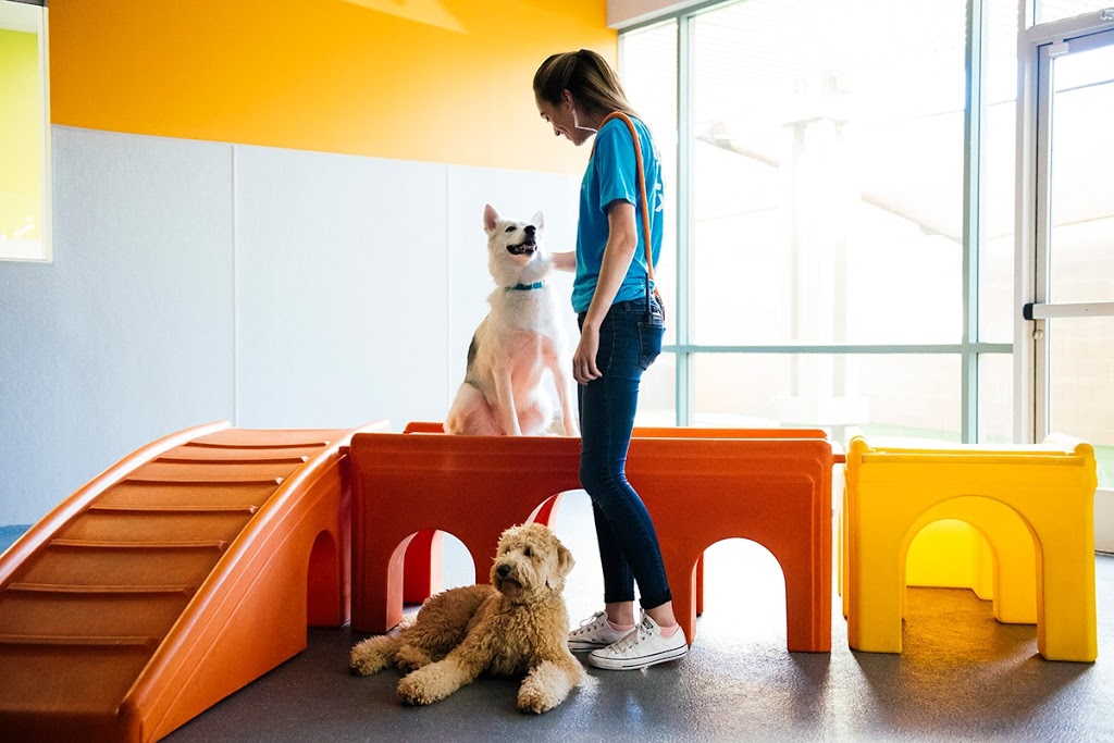 Dogtopia of Lionhead | 8265 Financial Dr Unit 1, Brampton, ON L6Y 1M1, Canada | Phone: (647) 317-1631