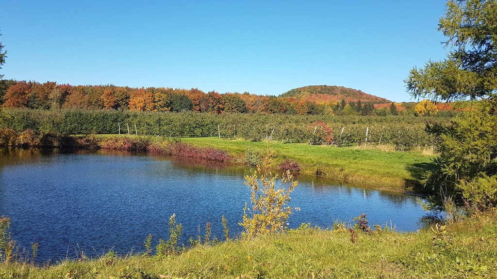 Autocueillette, Bleuetière et verger, La Fruiteraie des Gadbois. | 501 Rue Principale, Rougemont, QC J0L 1M0, Canada | Phone: (450) 469-3842