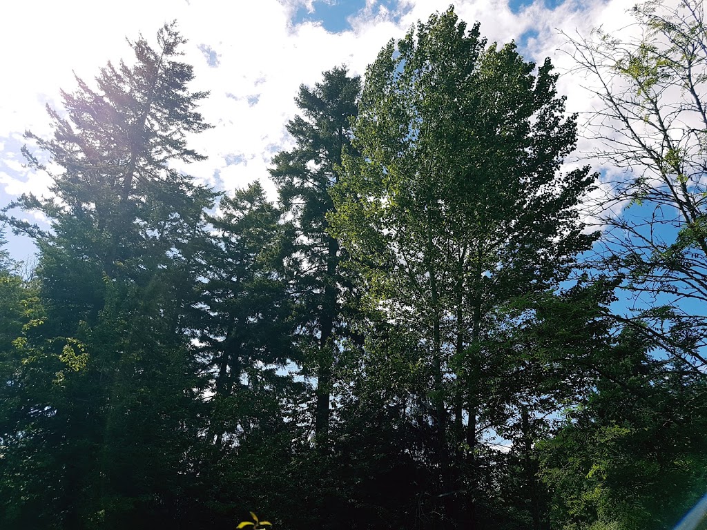 Coverdale Watson Park | Cowichan Bay, BC V0R 1N1, Canada | Phone: (250) 746-2620