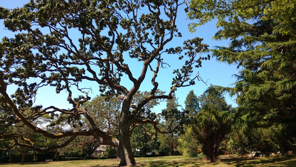 Camosun College Lansdowne Campus | 3100 Foul Bay Rd, Victoria, BC V8P 5J2, Canada | Phone: (250) 370-3000