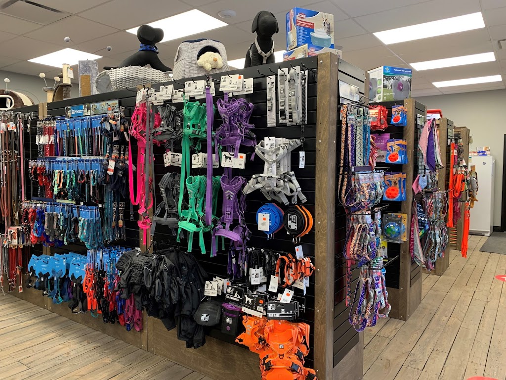 Boutique Du Compagnon | 2042 Avenue St Laurent, Plessisville, QC G6L 2R3, Canada | Phone: (819) 362-7331