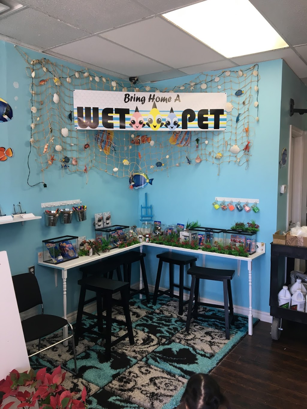 WET PETS AQUARIUMS INC. | 295 Main St E UNIT #4, Milton, ON L9T 1P1, Canada | Phone: (289) 851-2606