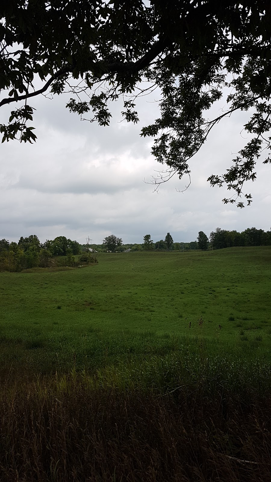 Salmon River Studios | 90 River Rd, Tamworth, ON K0K 3G0, Canada