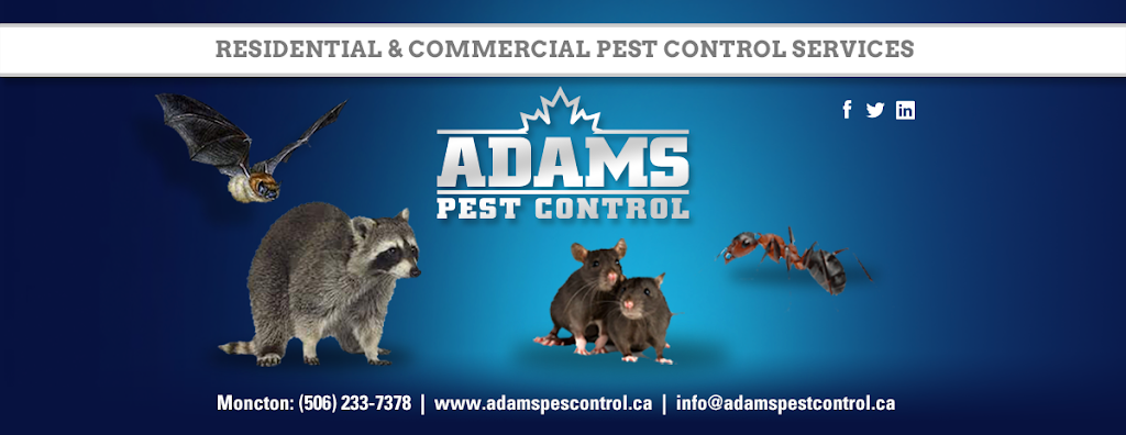 Moncton Pest Control - Adams Pest Control New Brunswick | 122 Thorncastle Cres, Lutes Mountain, NB E1G 0S5, Canada | Phone: (506) 233-7378