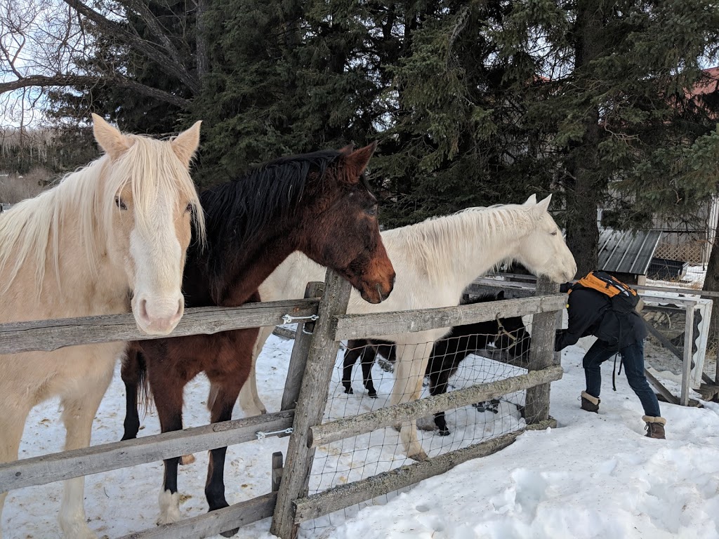 Rose Valley Lodge & Restaurant | Rose Valley Rd, South Gillies, ON P0T 2V0, Canada | Phone: (807) 473-5448
