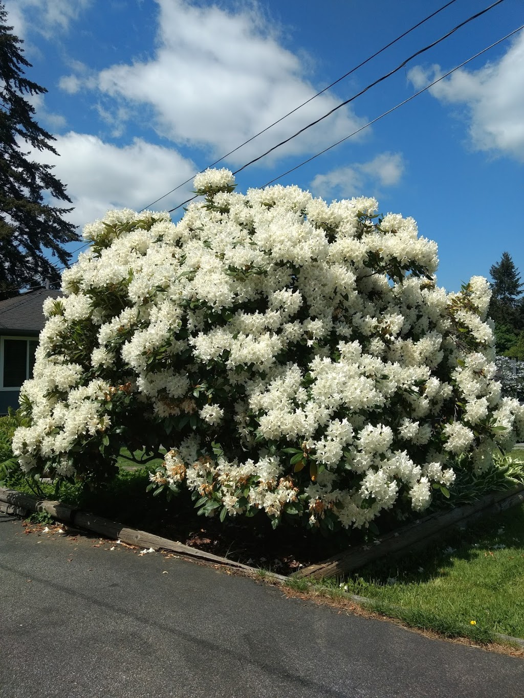 Oakdale Park | 835 North Rd, Coquitlam, BC V3J 1P8, Canada | Phone: (604) 927-3000