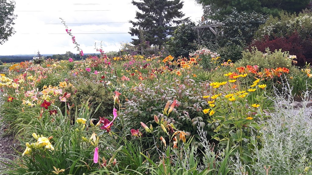 Rural Roots Gardens | 2369 Kawartha Lakes County Rd 36, Dunsford, ON K0M 1L0, Canada | Phone: (705) 928-7668