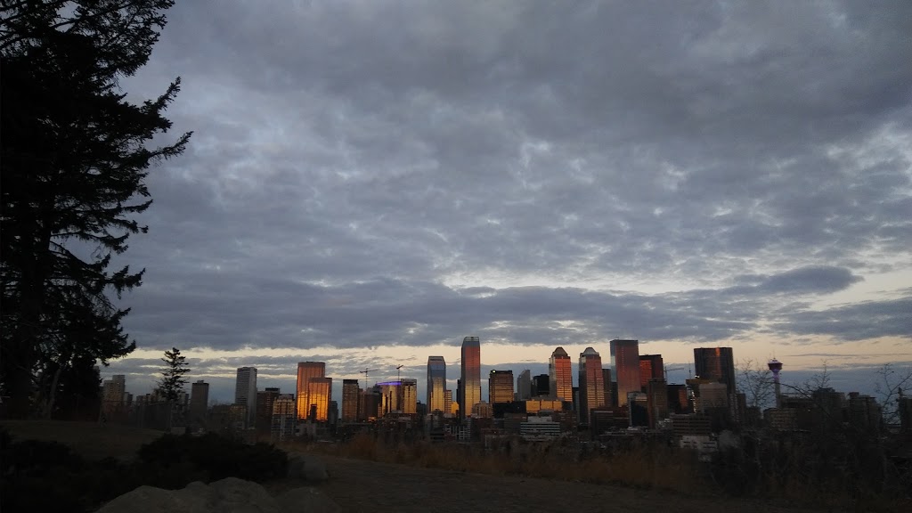 Roxboro & Erlton Offleash Dog Park | 3010 Roxboro Glen Rd SW, Calgary, AB T2S 1T9, Canada