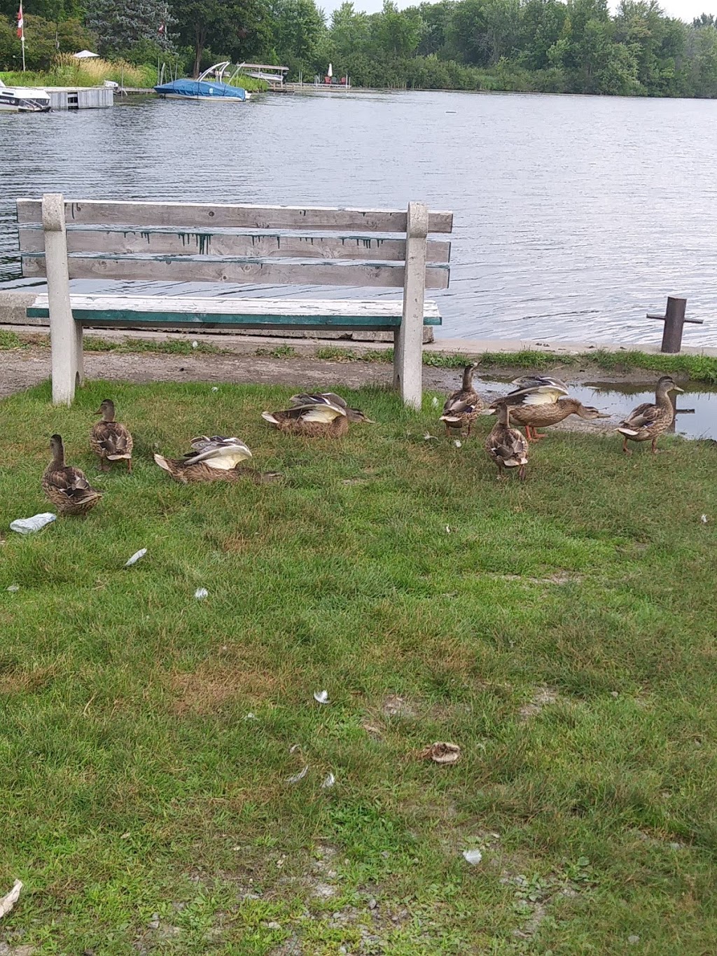 Kars Boat Launch | 1574 Old Wellington St, Kars, ON K0A 2E0, Canada | Phone: (613) 851-7893