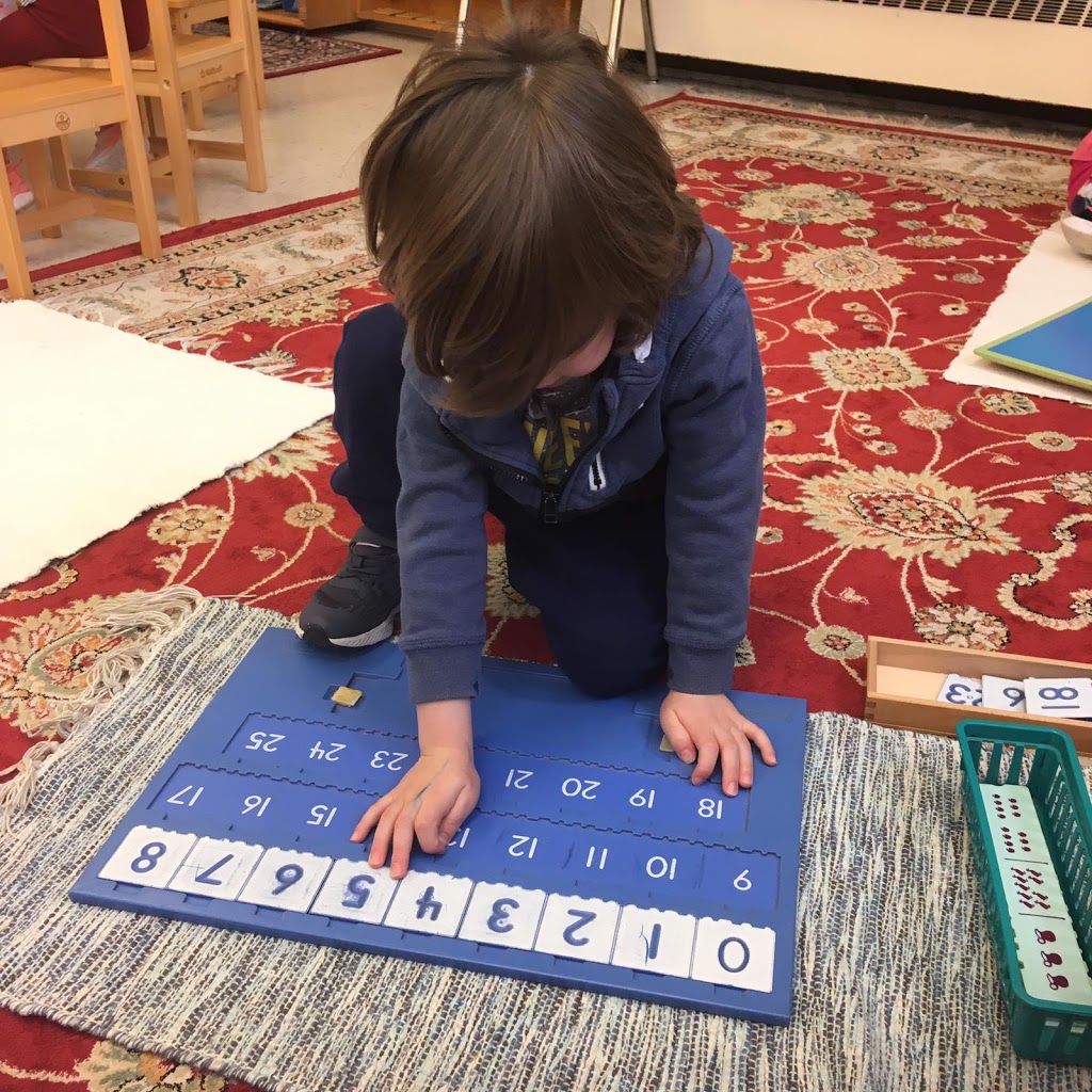 Montessori Academy Learning Centre of Cambridge | 82 Beverly St, Cambridge, ON N1R 2Z7, Canada | Phone: (519) 267-7570