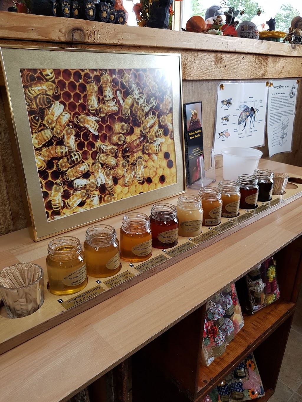 Chilliwack River Valley Honey | 43476 Adams Rd, Chilliwack, BC V2R 4L1, Canada | Phone: (604) 823-7400