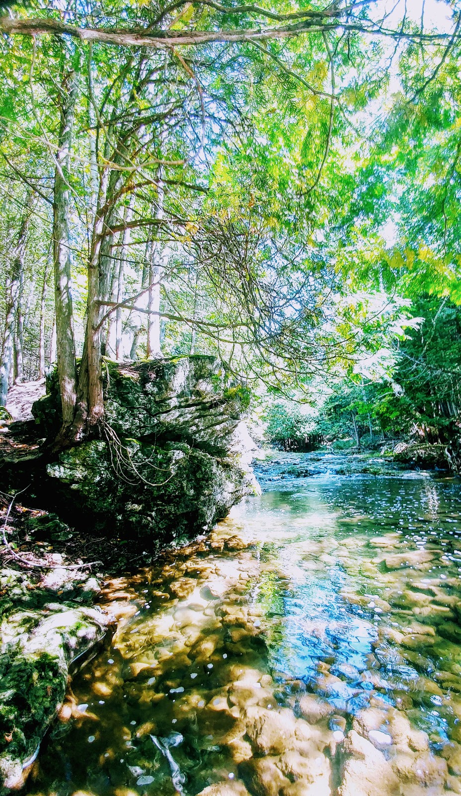 Bruce Trail | Hockley Rd, Orangeville, ON L9W 2Y8, Canada