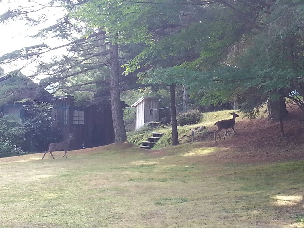 Longhouse Bed & Breakfast | 2187 Mitchell Bay Rd, Friday Harbor, WA 98250, USA | Phone: (360) 378-2568