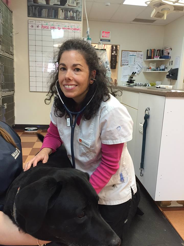 PetFocus Eastern Shore Veterinary Hospital | 5228 Highway 7, Porters Lake, NS B3E 1J8, Canada | Phone: (902) 827-4257