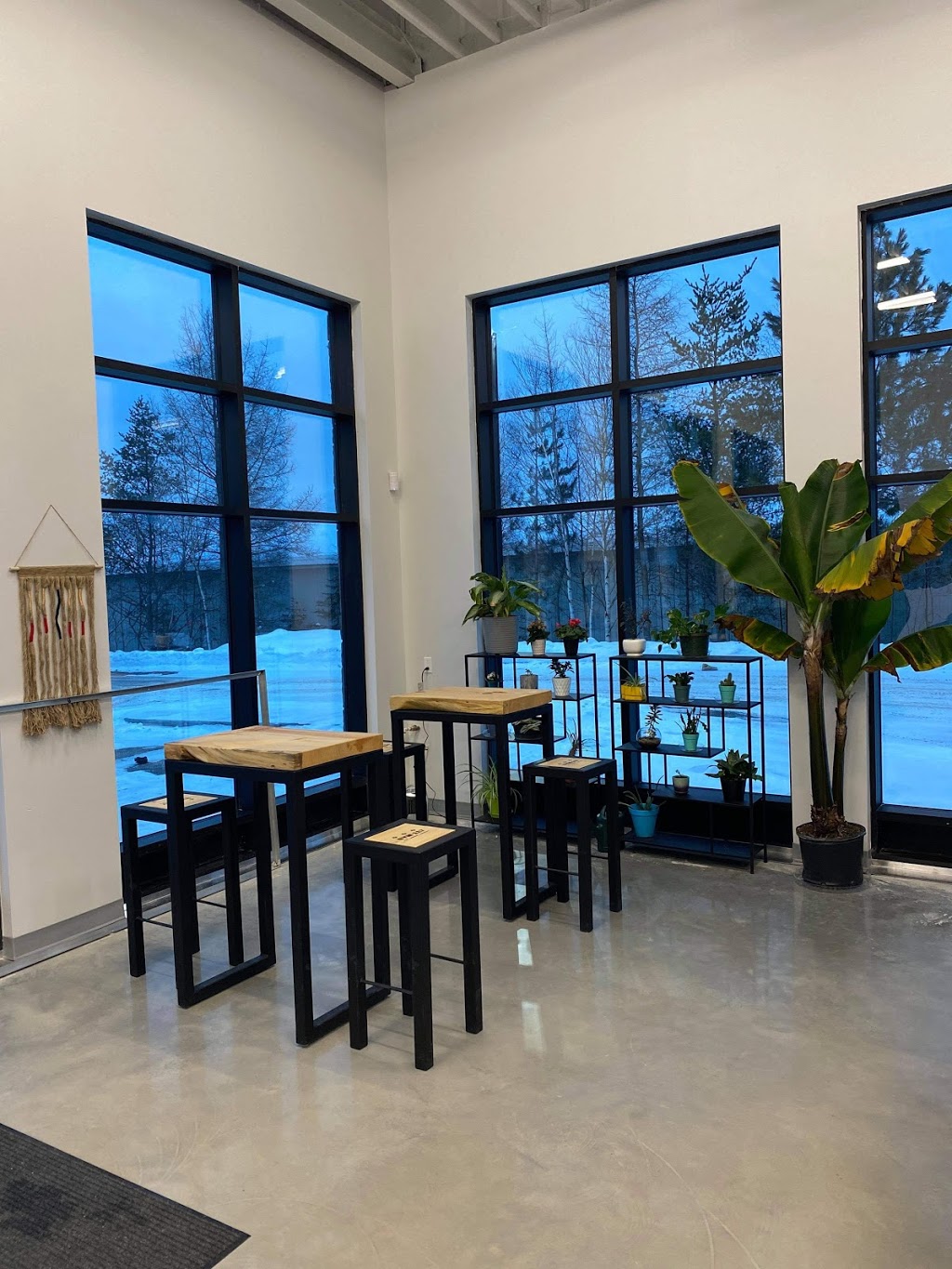 GYM 117 | 365 QC-117, Mont-Tremblant, QC J8E 2R9, Canada | Phone: (819) 717-1297