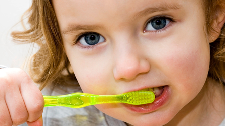 Family Tree Dental | 1881 Steeles Ave W, North York, ON M3H 5Y4, Canada | Phone: (416) 661-6881