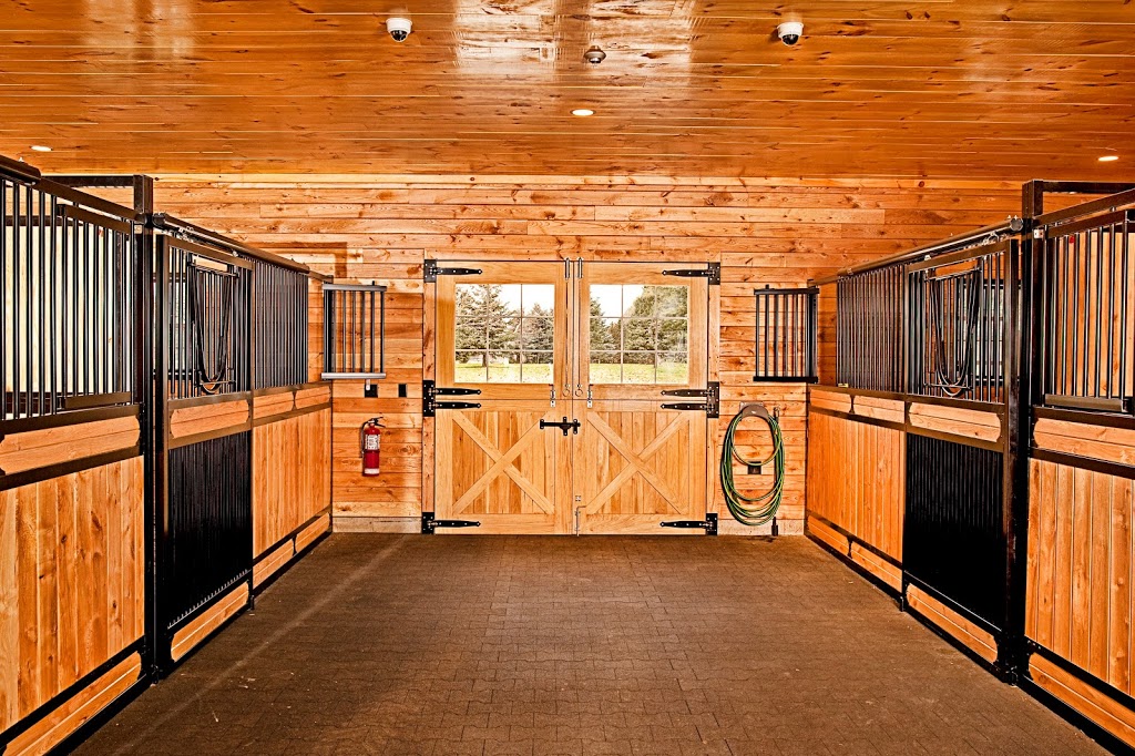 Ferguson Equine Veterinary Services | 873164 5th Line EHS, Mono, ON L9W 6A4, Canada | Phone: (519) 941-9111
