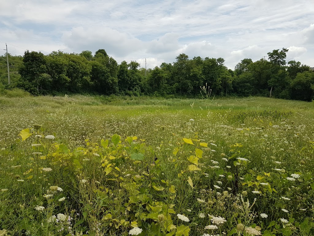 Kayak Urban Townhomes | 2 Willow St, Paris, ON N3L 0C6, Canada | Phone: (519) 805-2826 ext. 3