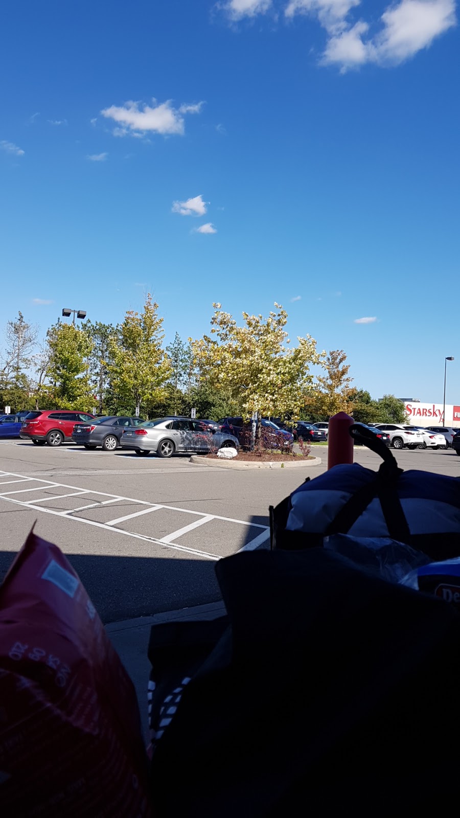 Costco Food Court | 3180 Laird Rd, Mississauga, ON L5L 6A5, Canada | Phone: (905) 828-3340