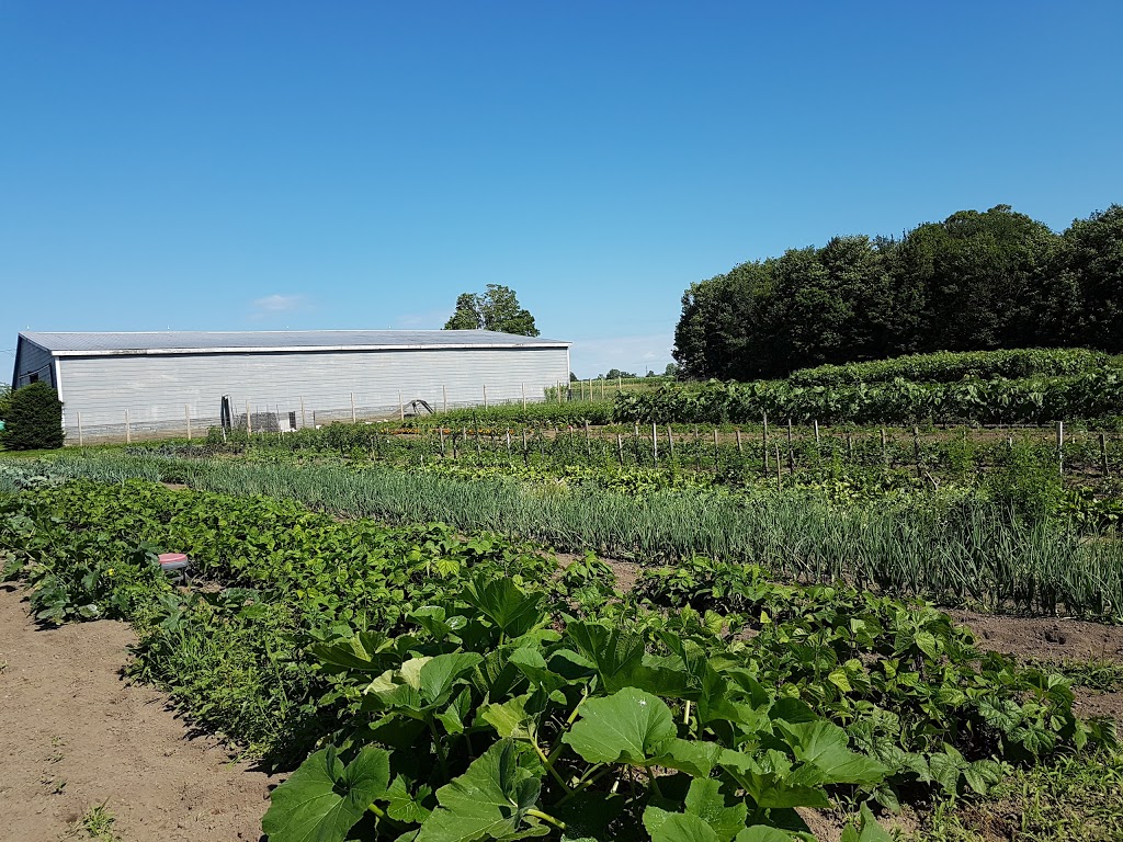 Moondance Organic Gardens | 8463 Line 5, Angus, ON L0M, Canada | Phone: (705) 719-8705