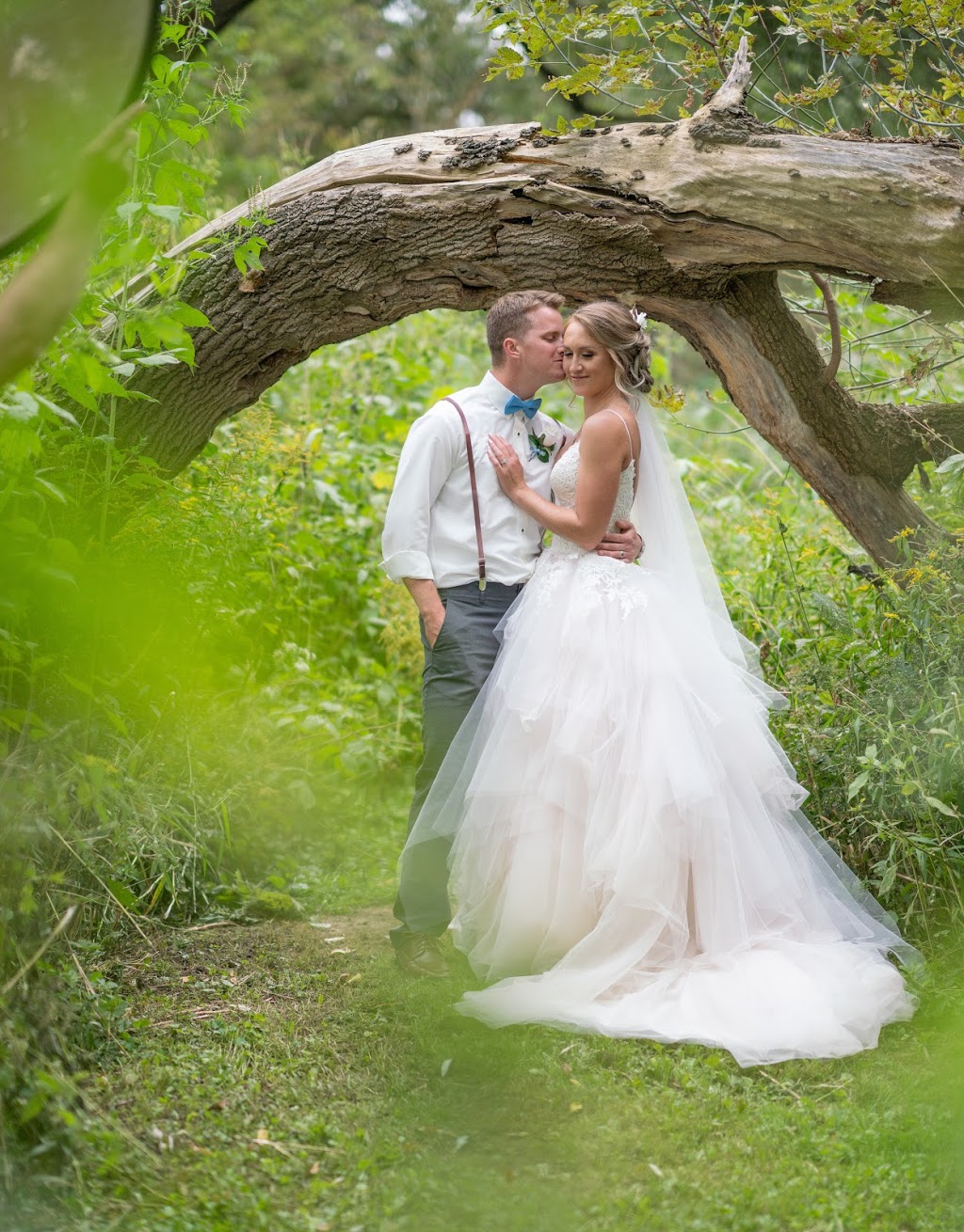 A Nash Photograph | 40 Gordon St, Cambridge, ON N1S 2G4, Canada | Phone: (226) 218-6870