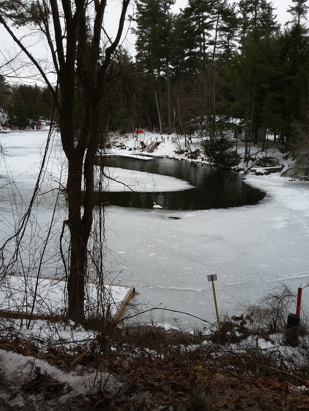 Browns Marina | 1641 Chaffeys Lock Rd, Elgin, ON K0G 1E0, Canada | Phone: (613) 359-5466