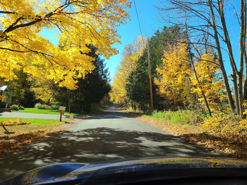 Blairhampton Golf Club | 1557 Duck Lake Rd, Minden, ON K0M 2K0, Canada | Phone: (705) 286-1315